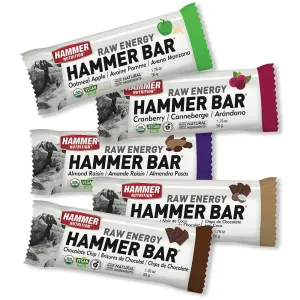 Hammer Nutrition Raw Energy Hammer Bars